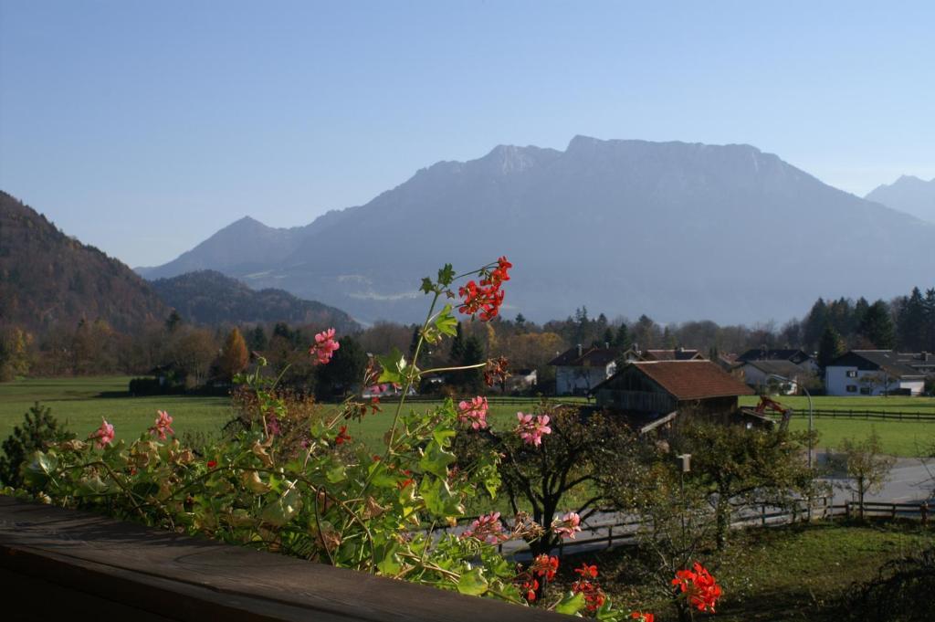 Alpenhof Landhotel Restaurant Όμπερντορφ Δωμάτιο φωτογραφία